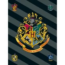 Jerry Fabrics Deka fleecová 100x150 cm - Harry Potter "HP067"