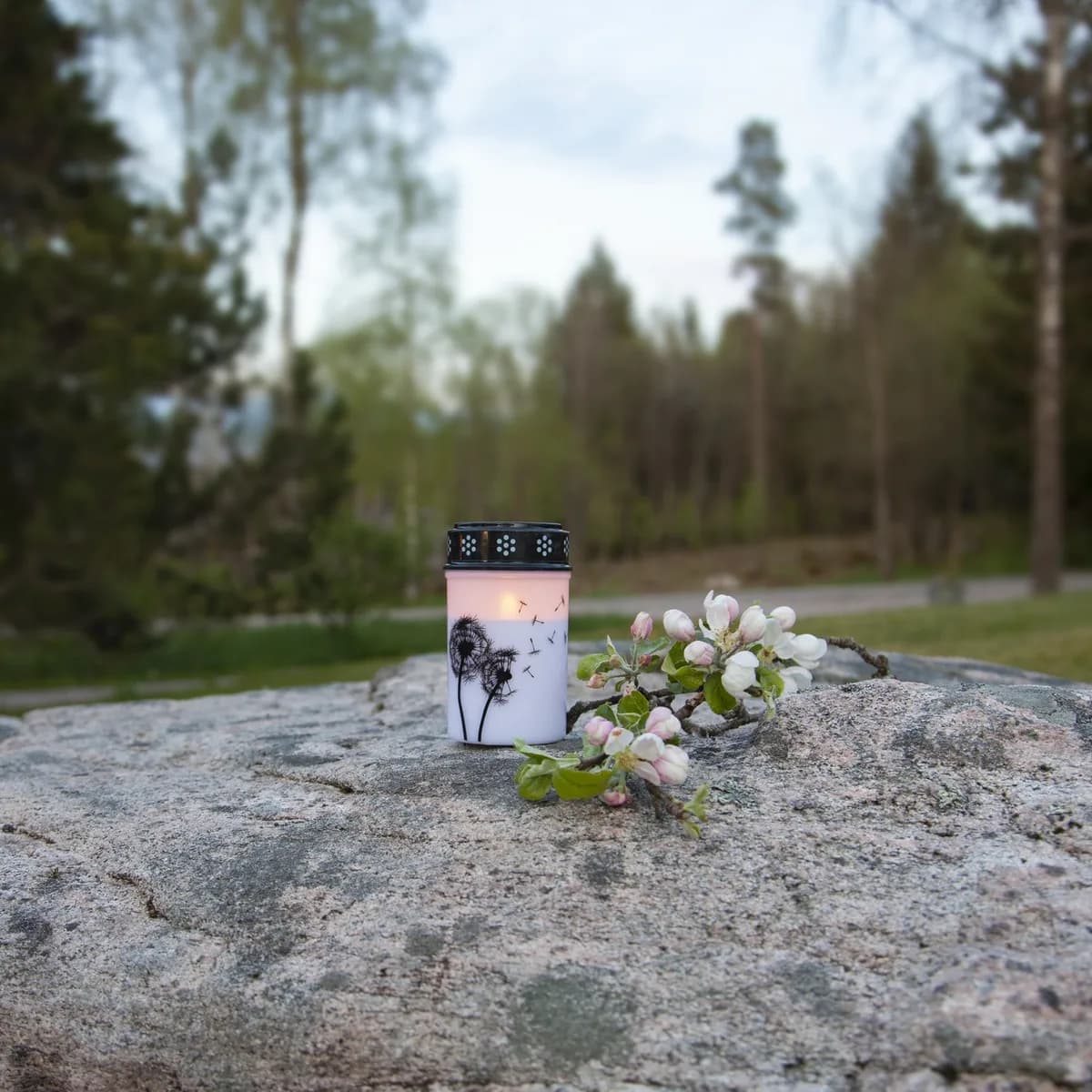Obrázek produktu