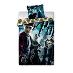 Faro Bavlněné povlečení Harry Potter 001 - 140x200 cm