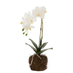Stříbrno-šedý skleněný svícen na noze na čajovou svíčku - Ø 6*8 cm Clayre & Eef
