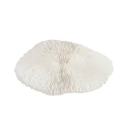 Bílý dekorativní umělý mořský korál - 15,5*14*3 cm J-Line by Jolipa