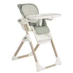 Joie Mimzy™ recline mist wood